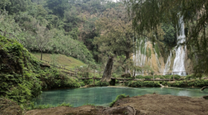 Picture showing some of the local beauty of the Huasteca region